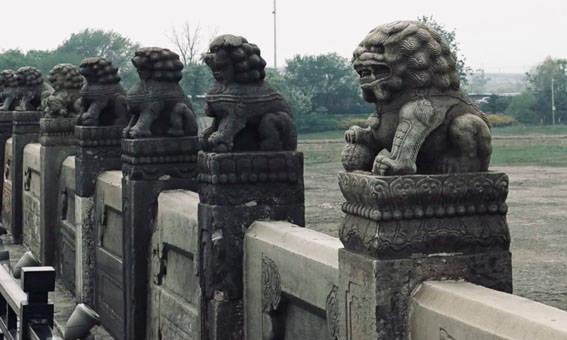 微视频｜今天这个日子 聆听这一段讲述